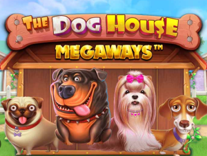 The Dog House: Uma Análise Completa do Slot Que Vai Mexer Com Seu Coração